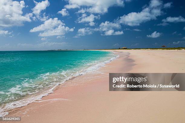 pink sand beach antigua west indies - harbor island bahamas stock pictures, royalty-free photos & images