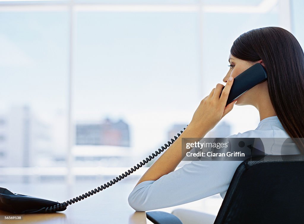 Rear view of a businesswoman talking on a telephone in an office
