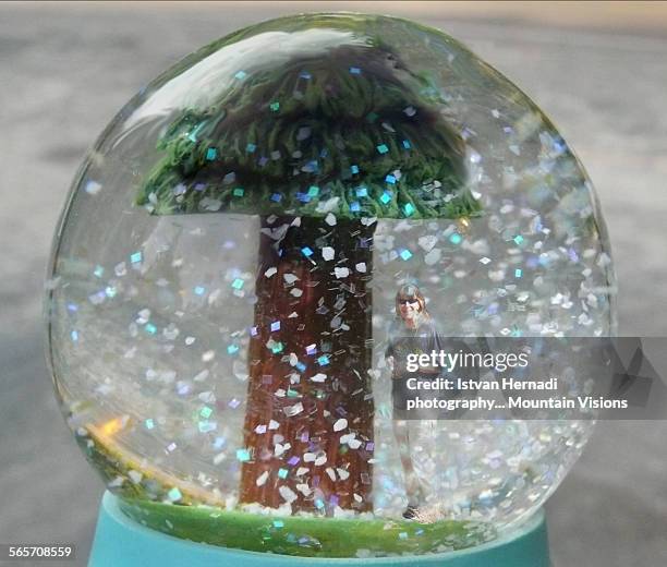 woman inside a snow globe - funny snow globe stock pictures, royalty-free photos & images