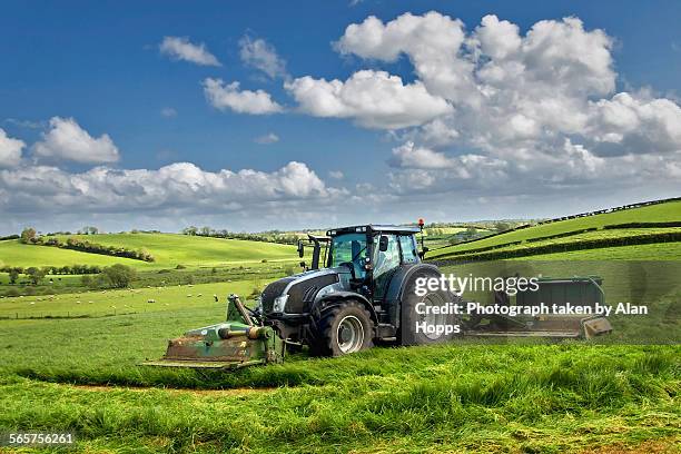 mowing the silage - tractor stock pictures, royalty-free photos & images