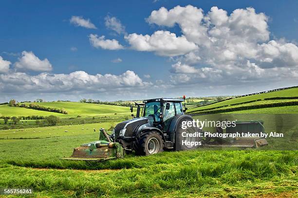 mowing the silage - ensilage bildbanksfoton och bilder