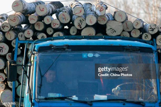 Workers transport logs with a truck at a forestry farm on January 8, 2006 in Yichun City of Heilongjiang Province, northeast China. Yichun, located...