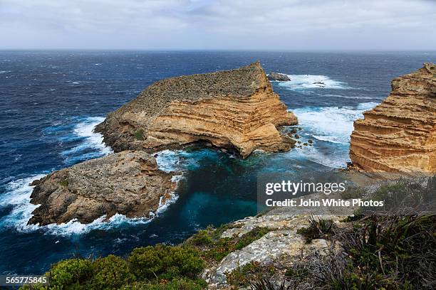 sandstone outcrops off the coast at cape wiles. - port lincoln stockfoto's en -beelden