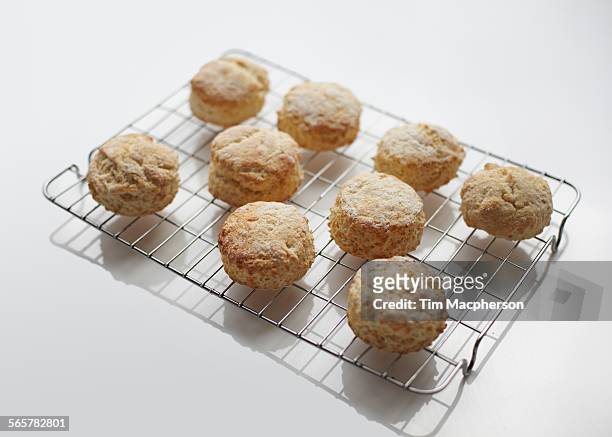 freshly baked scones on cooling rack - kyltråg bildbanksfoton och bilder
