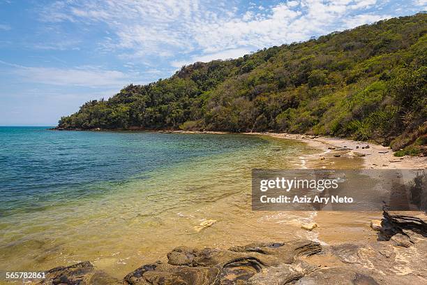 view of coast, tartaruga, buzios, rio de janeiro, brazil - tartaruga stock pictures, royalty-free photos & images