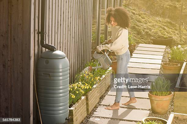 mid adult woman using watering can - rainwater tank stock pictures, royalty-free photos & images