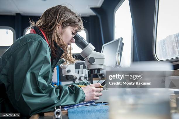 female scientist inspecting sample of plankton with microscope on research ship - wildlife research stock pictures, royalty-free photos & images