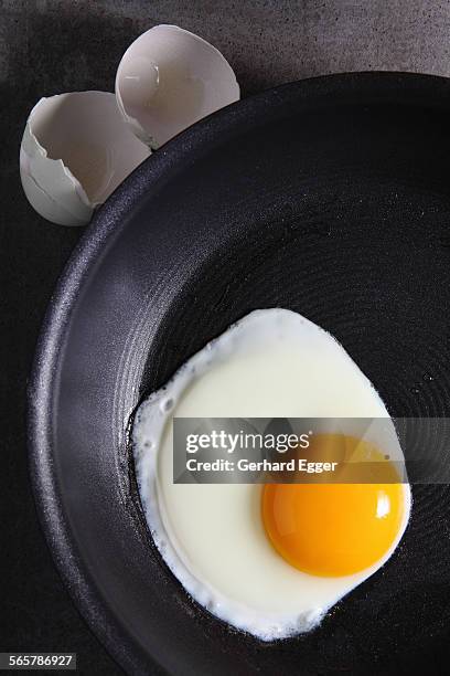 fried egg - gerhard egger stock-fotos und bilder