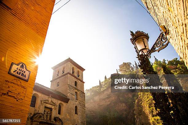 the alhambra palace in granada - granada spain landmark stock pictures, royalty-free photos & images