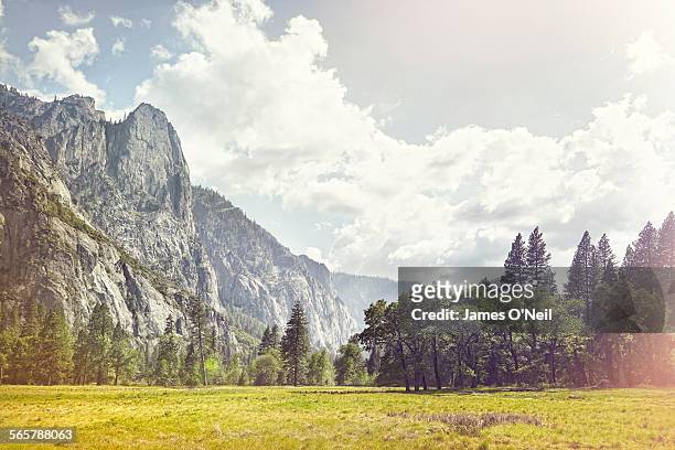 open field with background mountains - parque nacional fotografías e imágenes de stock