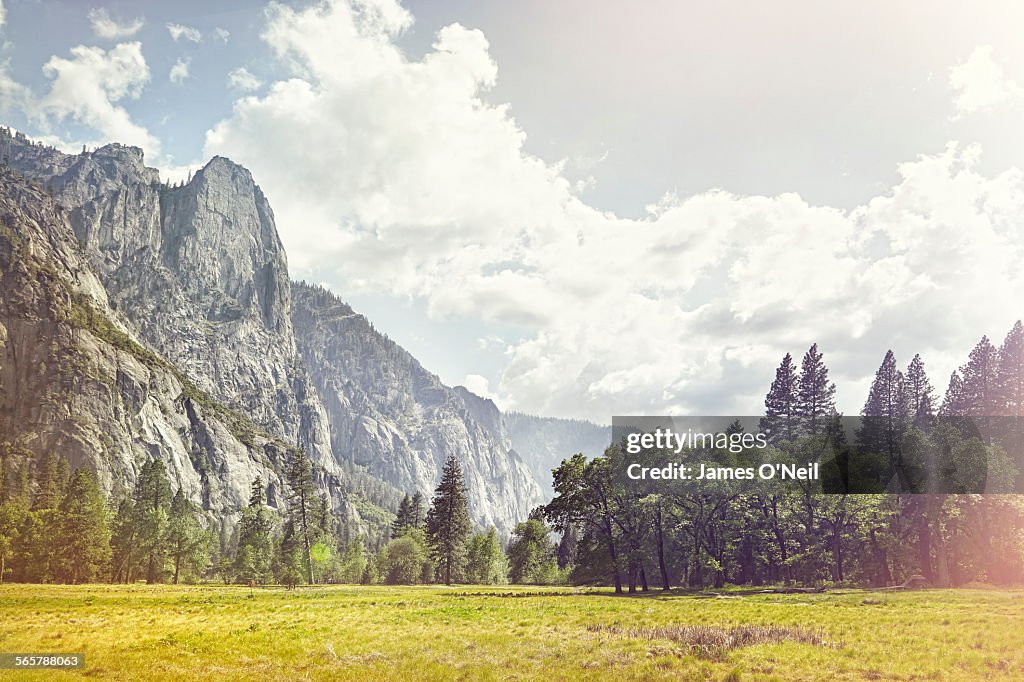 Open field with background mountains