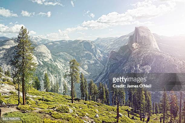 half dome in yosemite with foreground trees - california landscape stock-fotos und bilder