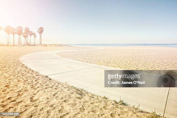 winding path on beach - los angeles stock-fotos und bilder