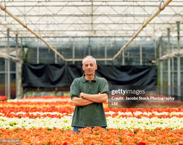 caucasian gardener standing with flowers in greenhouse - botanist stock pictures, royalty-free photos & images