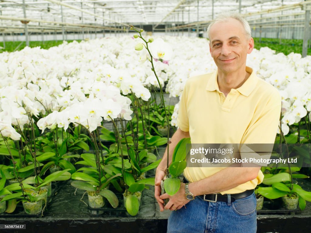 Caucasian gardener standing with flowers in greenhouse