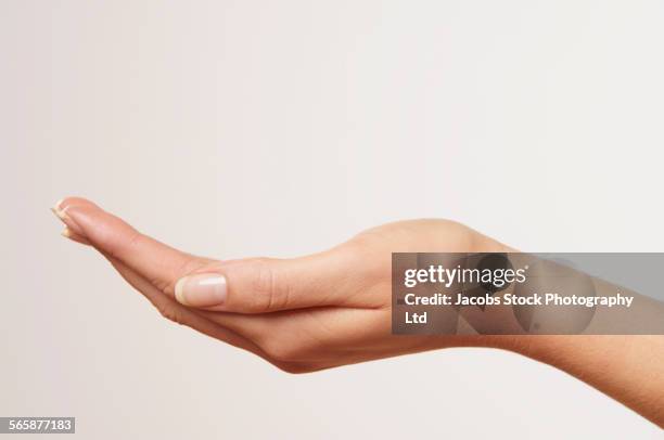 close up of cupped hand of caucasian woman - mão em forma de concha - fotografias e filmes do acervo