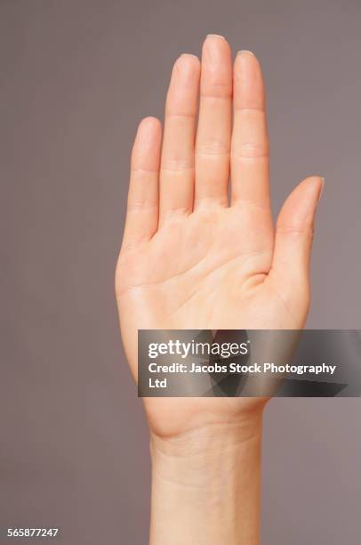 close up of hand of caucasian woman - mano abierta fotografías e imágenes de stock