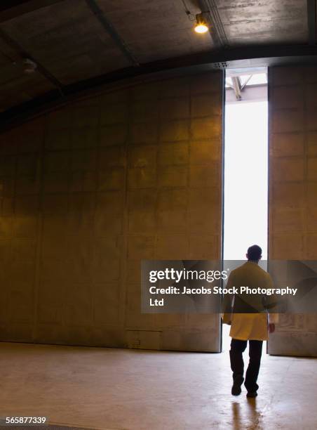 caucasian scientist walking to light from doorway - back lit doctor stock pictures, royalty-free photos & images