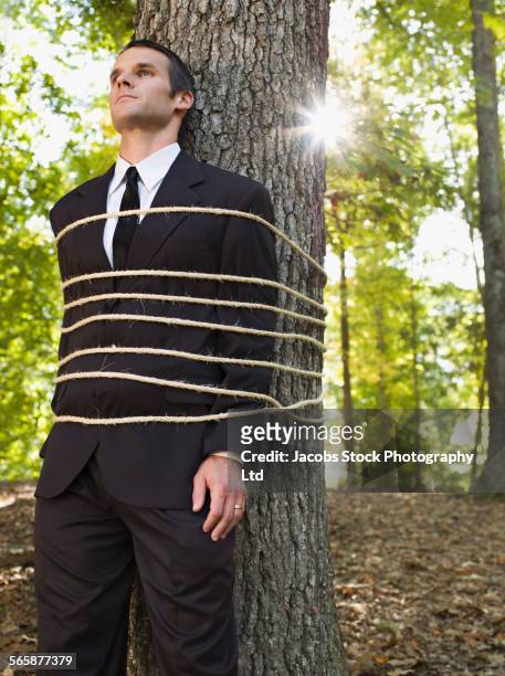 caucasian businessman tied to tree in forest - tangled stock pictures, royalty-free photos & images