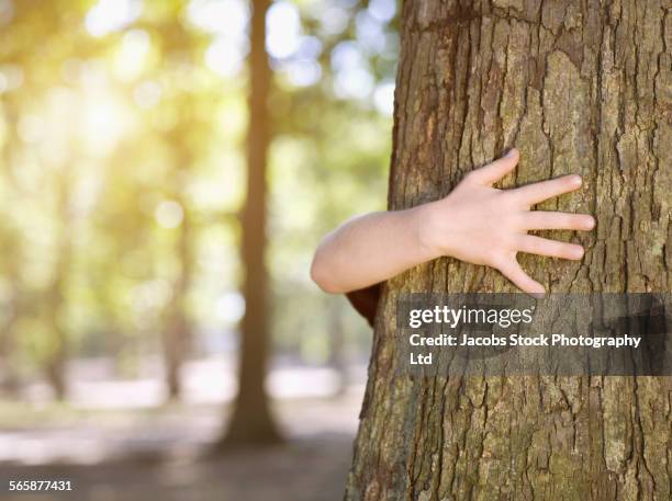 caucasian girl hugging tree in forest - hands embracing stock pictures, royalty-free photos & images