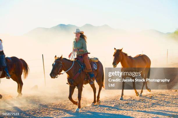 rancher herding horses on dirt path - horseback riding arizona stock pictures, royalty-free photos & images