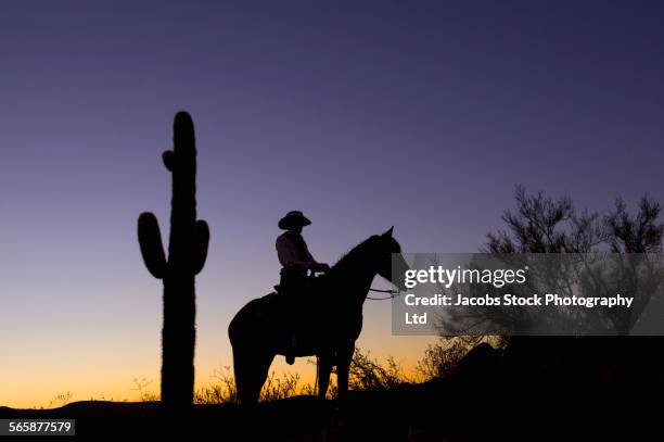 silhouette of caucasian rancher on horse and cactus in desert - horseback riding arizona stock pictures, royalty-free photos & images