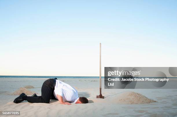 caucasian businessman burying head in sand - suchen stock-fotos und bilder