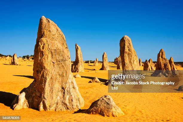 rock formations in remote desert field - pinnacles australia stock-fotos und bilder