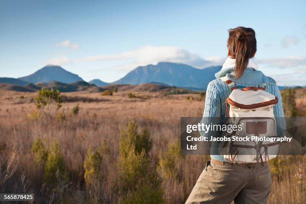 hispanic hiker standing in remote field - hiking tasmania stock-fotos und bilder