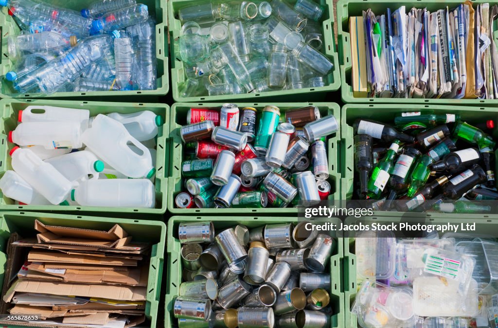 Close up of organized recycling bin