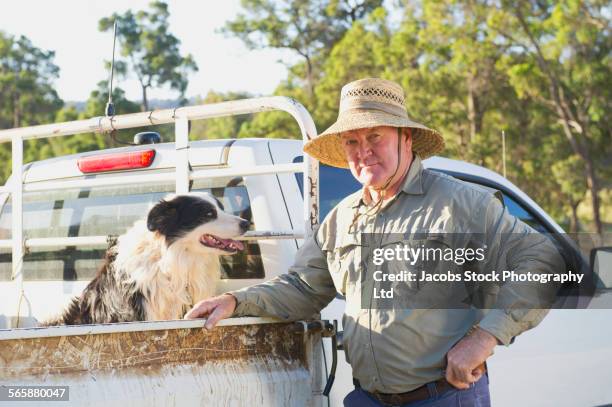 caucasian farmer with dog in pick up truck - farmer australia ストックフォトと画像