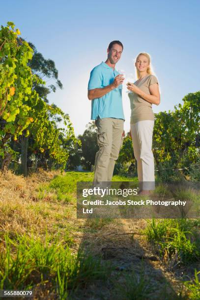 caucasian couple tasting wine in vineyard - business mature couple portrait bildbanksfoton och bilder