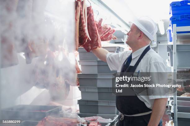 caucasian butcher examining curing meat in shop - cibi surgelati foto e immagini stock