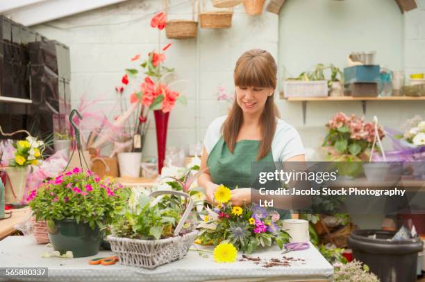 caucasian florist working in flower shop - spalding place stock-fotos und bilder