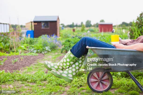 caucasian gardener laying in wheelbarrow in garden - brouette photos et images de collection