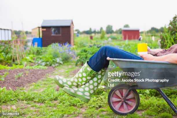 caucasian gardener laying in wheelbarrow in garden - wheelbarrow 個照片及圖片檔