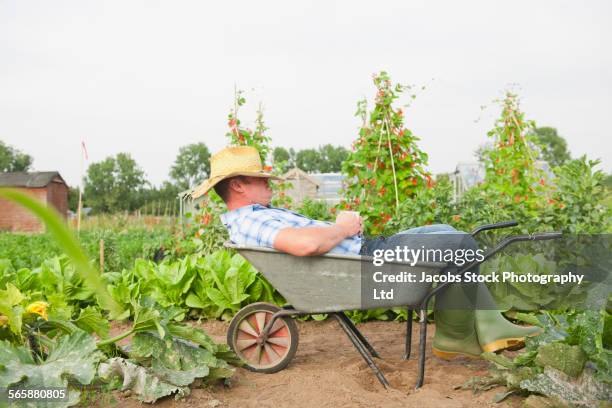 caucasian farmer napping in wheelbarrow in farm field - brouette photos et images de collection