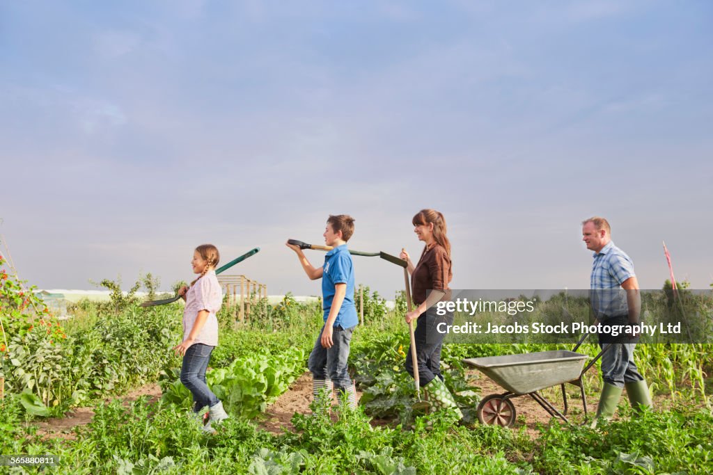 Caucasian farmer family working together in farm fields