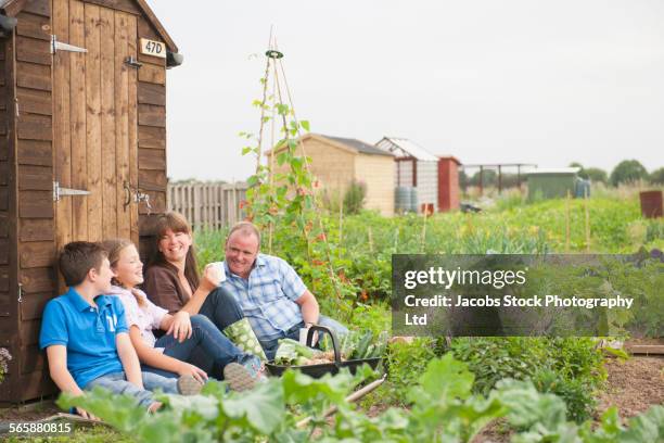 caucasian family relaxing in farm field - spalding place stock-fotos und bilder