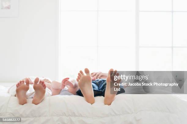 feet of caucasian family laying on bed - family feet stock pictures, royalty-free photos & images