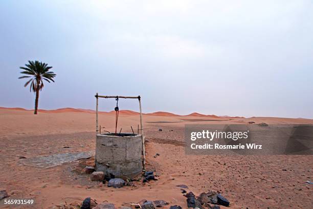 single palm tree and draw well - merzouga stockfoto's en -beelden