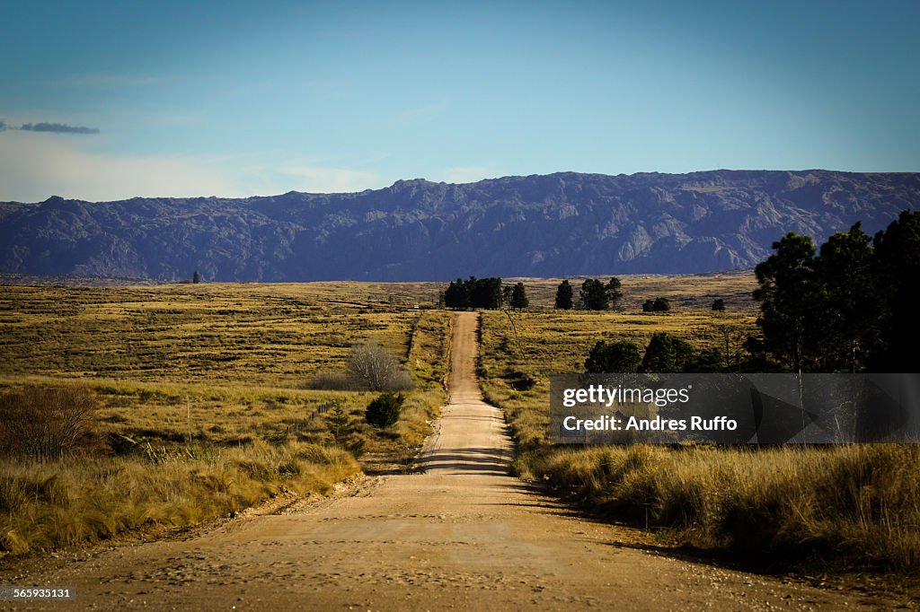 Overview mountain road surrounded by vegetation