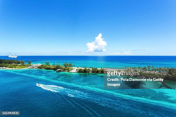 coral reef at crystal waters at caribbean nassau - new providence - fotografias e filmes do acervo