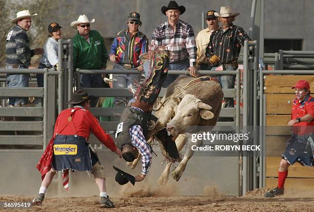 Chandler Rodeo 1,480 Arizona Rodeo Stock Photos, High-Res Pictures, and Images - Getty ...
