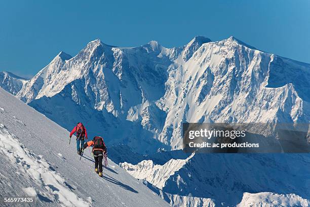 caucasian hikers climbing snowy mountain, monte rosa, piedmont, italy - monte rosa fotografías e imágenes de stock