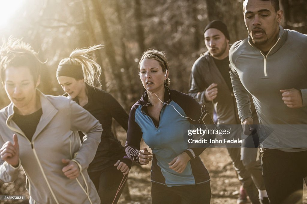 Runners jogging on dirt path in forest