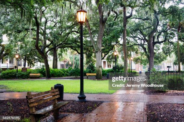 streetlight in rainy urban park - town square america stock pictures, royalty-free photos & images