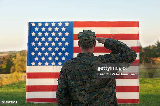 caucasian soldier saluting american flag - saluting stock-fotos und bilder