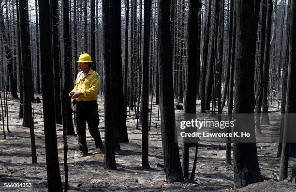 Soil Scientist Todd J. Ellsworth of US Forest Service and Manager of Forest BAER surveying the burned area of the Stanislaus National Forest near...