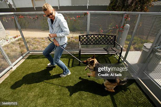Lauralea Oliver walks "Elaine" the German Shepard while looking at the dogs in the new South Los Angeles Animal Services Chesterfield Square facility...